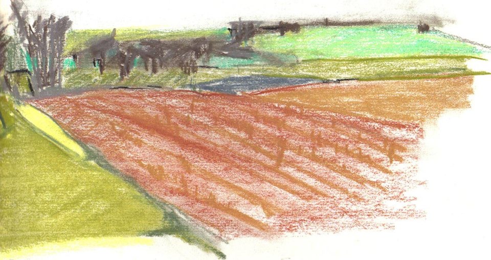 valerie-lindsell-cuckoo-hill